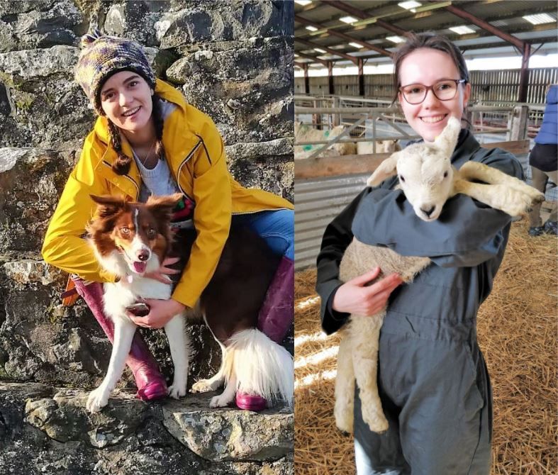 Students succeeding at new veterinary university