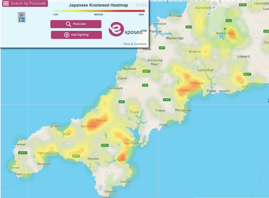 Cornwall Japanese knotweed hotspots revealed