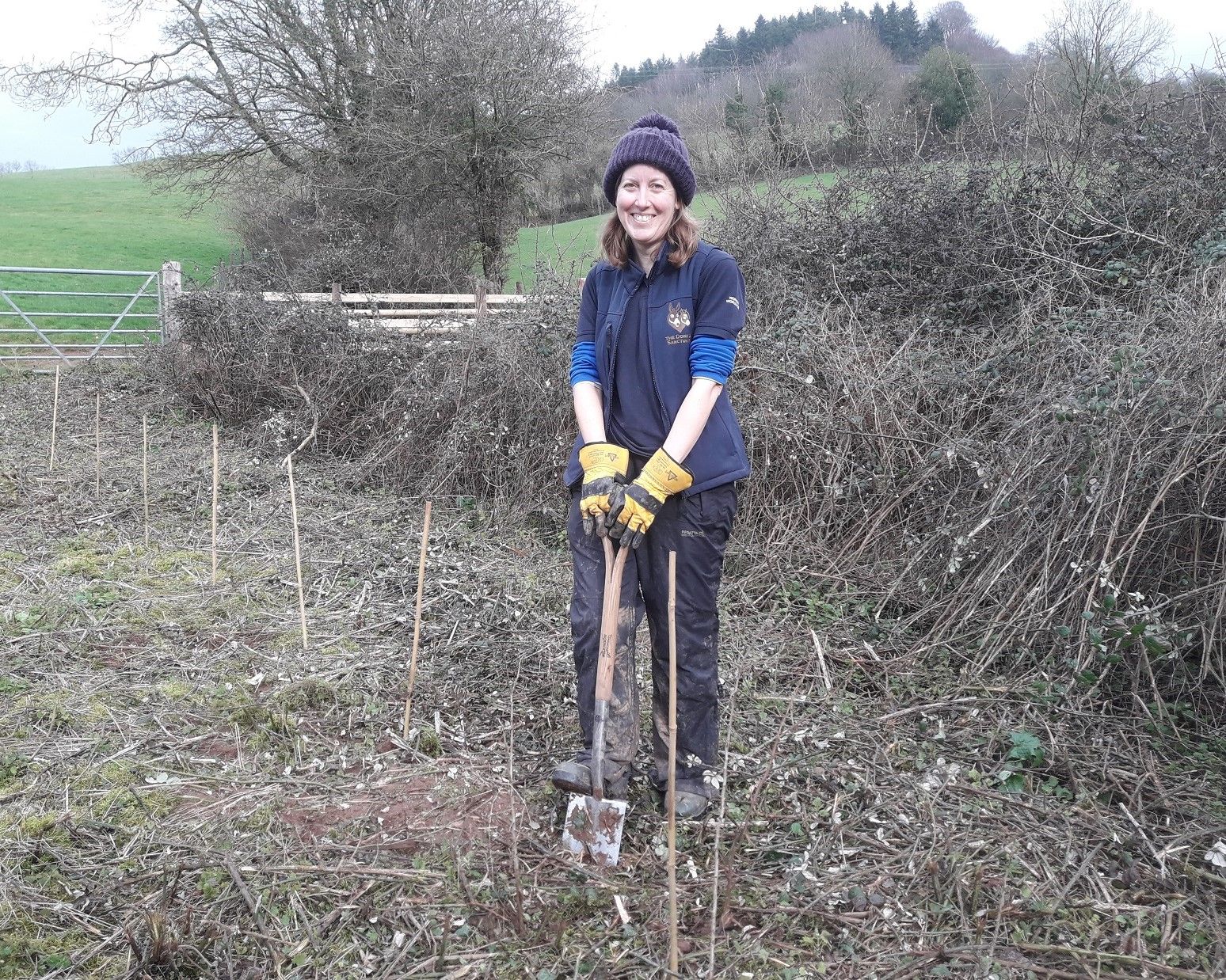 Wildlife and donkeys benefit from flood-friendly hedge-planting