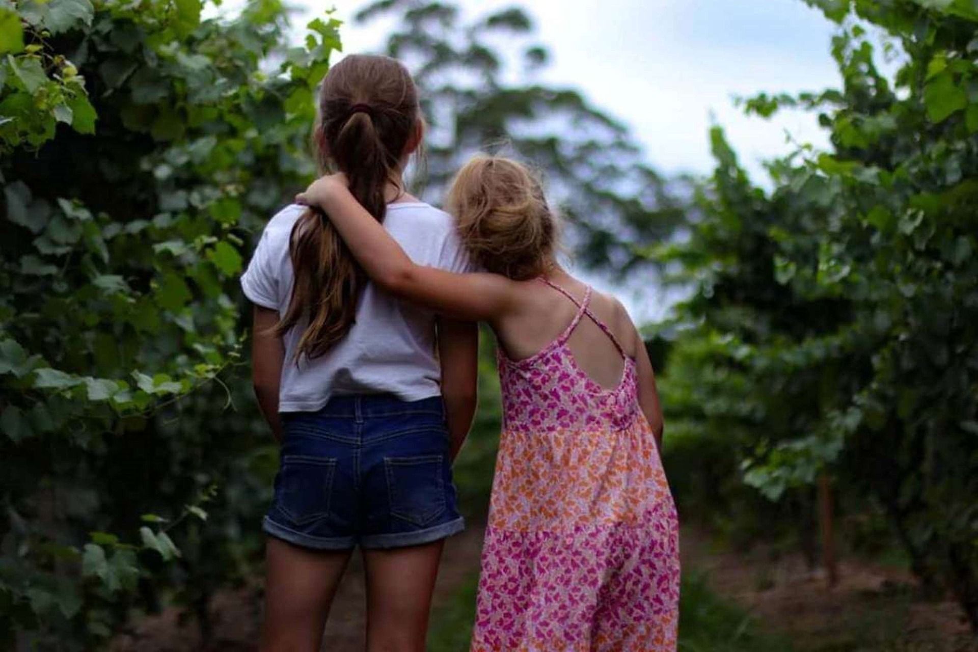 Ofsted praise for Torbay Children's Services welcomed