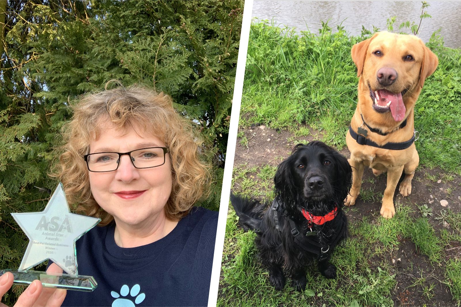 Stafford dog business wins national award