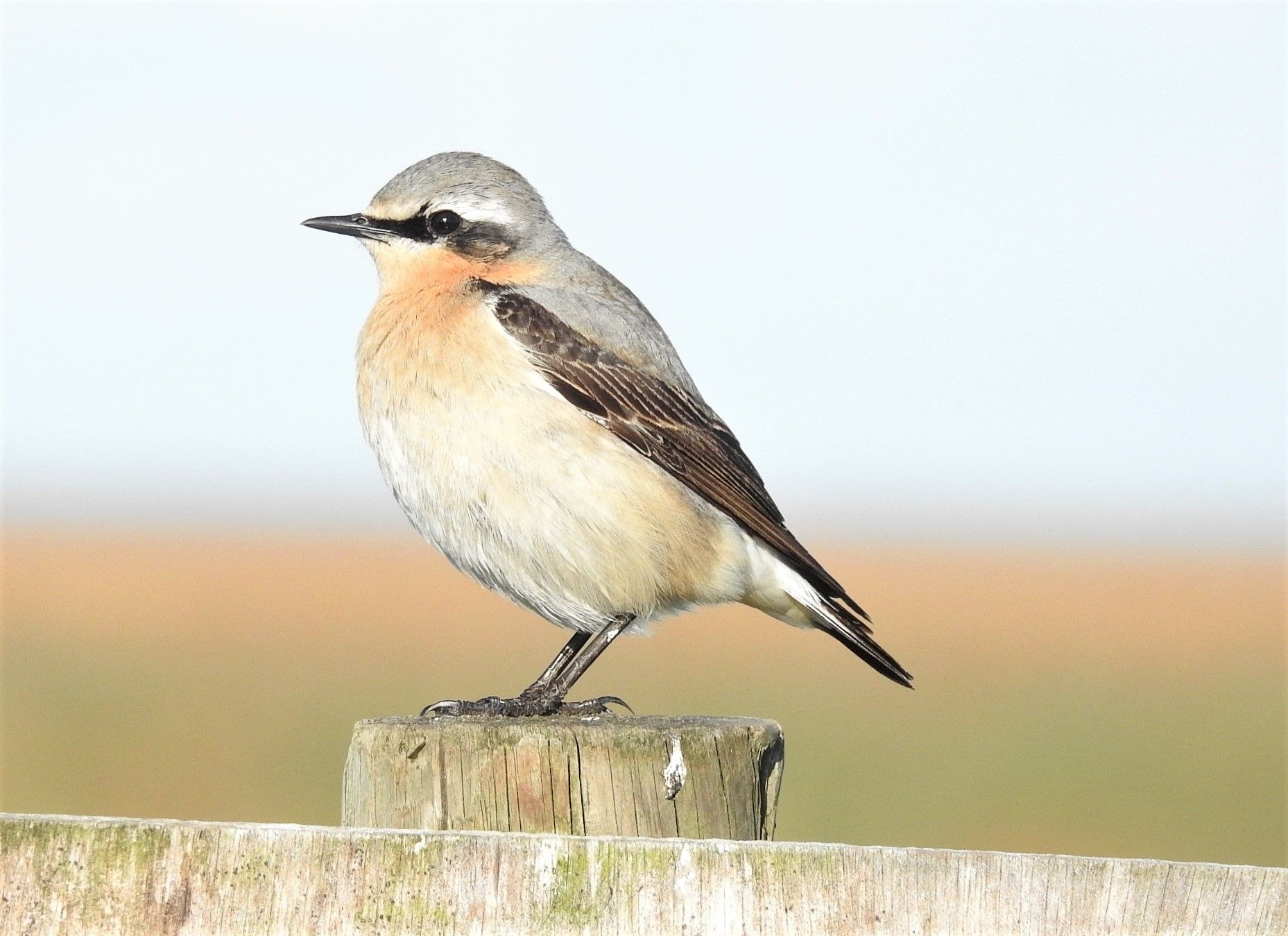 Sefton Coast column: Support your mental health in the great outdoors
