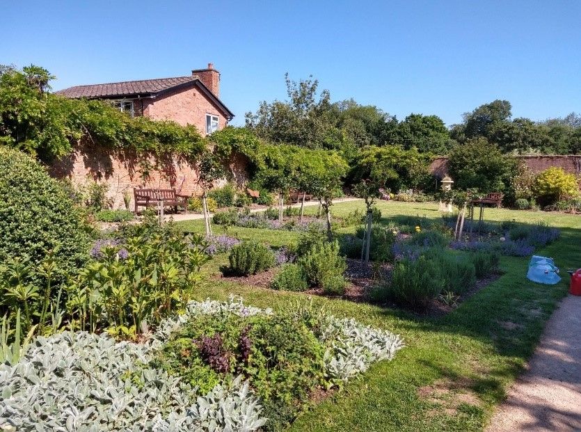 Derby dementia sufferers to benefit from communal gardening project