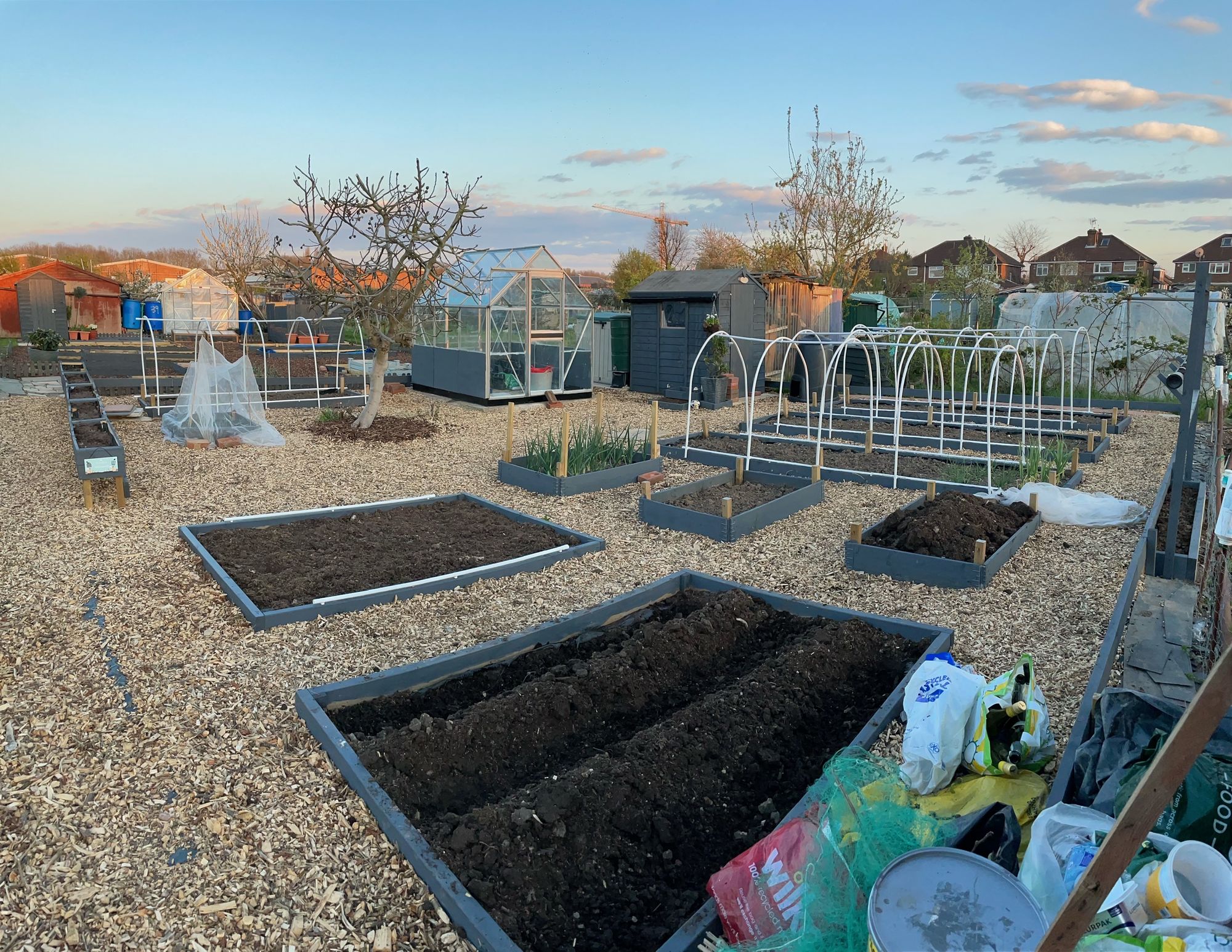 Veterinary nurse completely transforms overgrown Cheshunt allotment during lockdown
