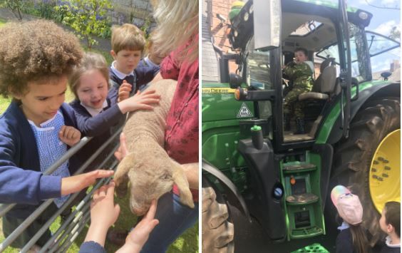 Farm visit delight for Paignton schoolchildren