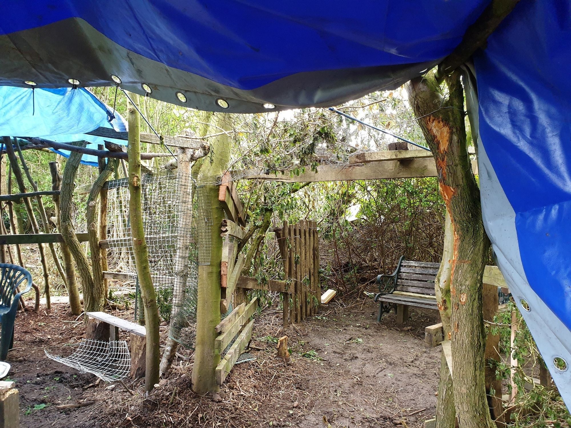 Woodland 'den' made from stolen benches and tables destroyed by police