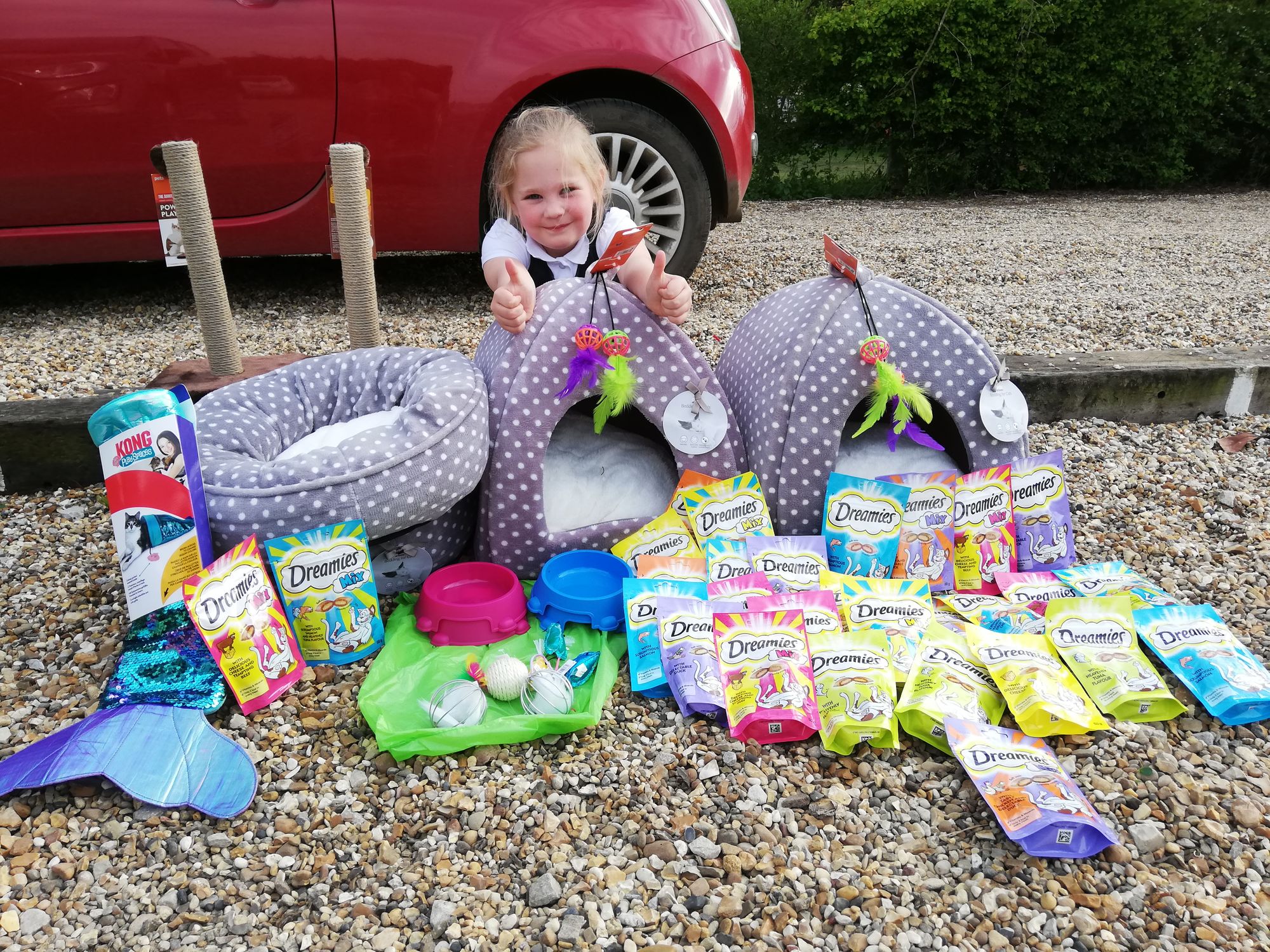 Hertford six-year-old raises money for Alfs, animal charity