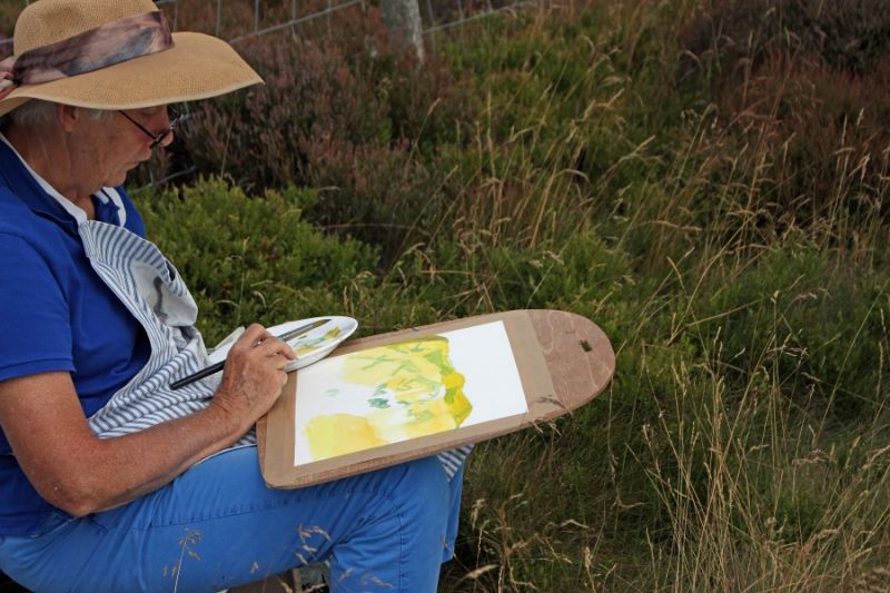 Conwy charity launches unique Eco-Skills programme to boost environmental learning