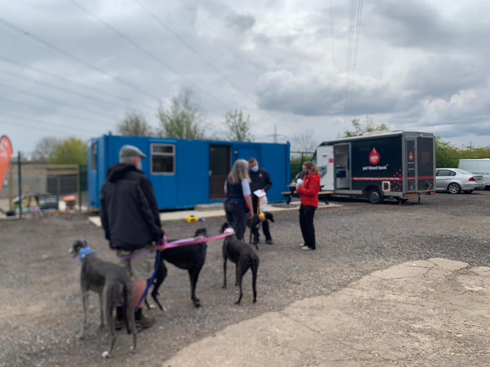 Pet blood donation drive in Wickersley gives sick dogs a new lease on life