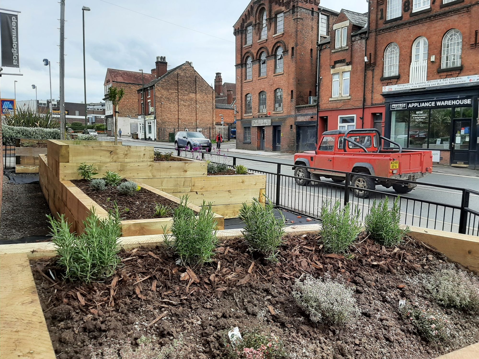 Patch of wasteland in Leek transformed into garden display