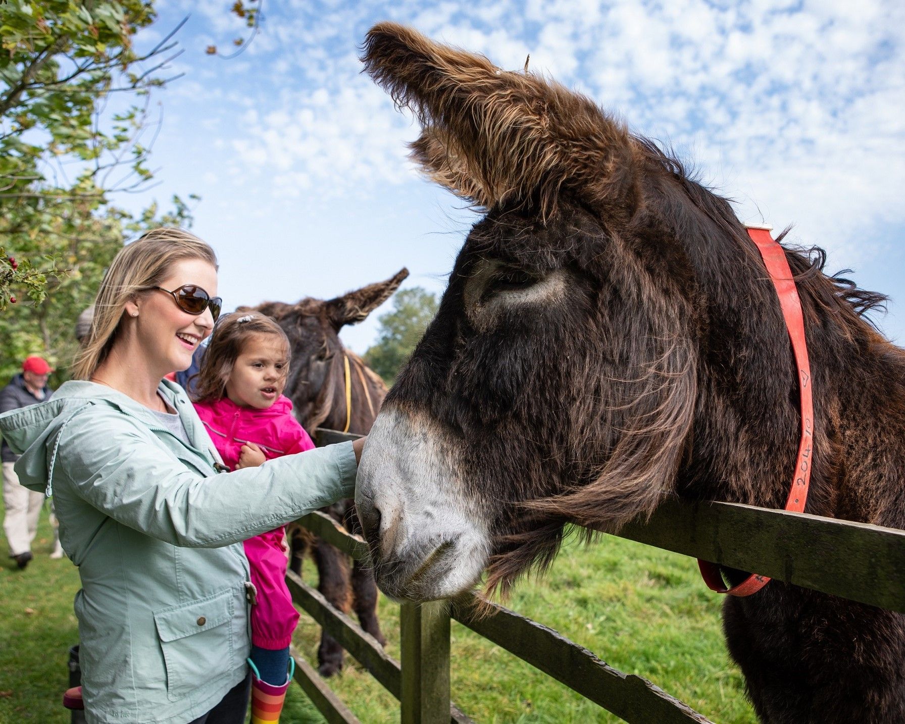 May opening for The Donkey Sanctuary Sidmouth
