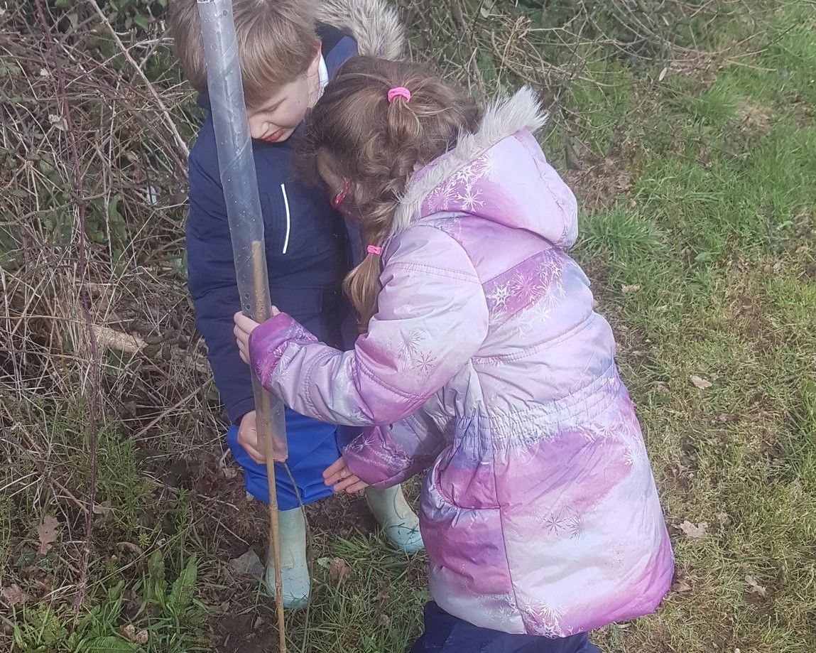 Pupils pioneer tree planting in Exeter