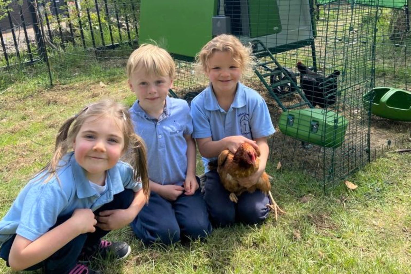 Shoscombe school children welcome new chickens