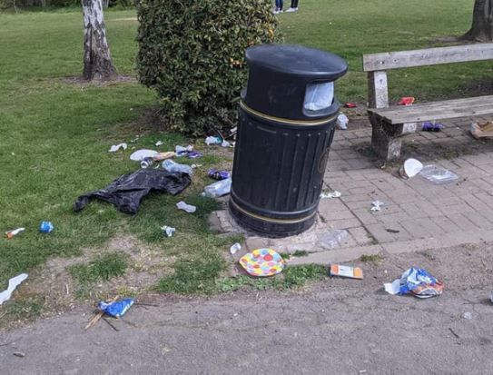 Petition launched calling for harsher littering and dog fouling fines