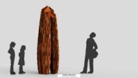 Oaks sculpture chosen as winning design for new town artwork