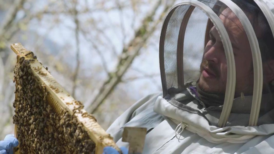 Falmouth video agency Bull & Wolf celebrates first TV commercial