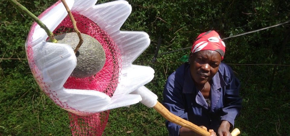 Loughborough researchers create products from used plastic water bottles in Rwanda, Kenya and Nigeria