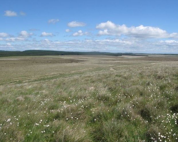 Government’s new England Peat Action Plan underlines need to restore Dartmoor's peatlands