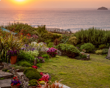 Cornish gardens invite public in to raise money for charity