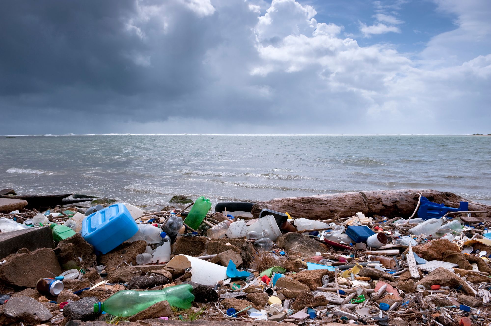 Loughborough schools urged to take part in new cross-curricular recycling programme