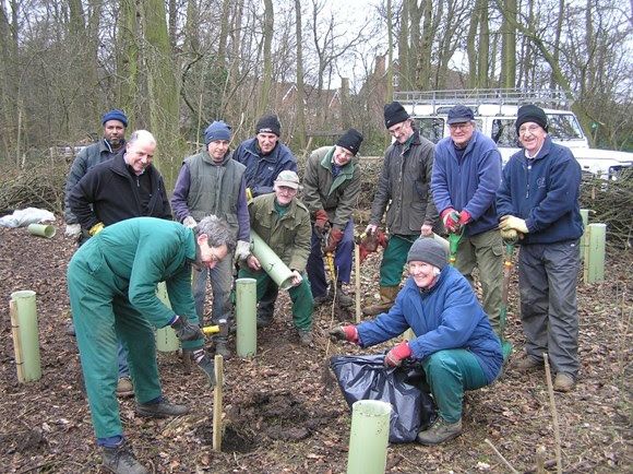 Hertfordshire County Council reveal ambition for 1.2 million trees by 2030
