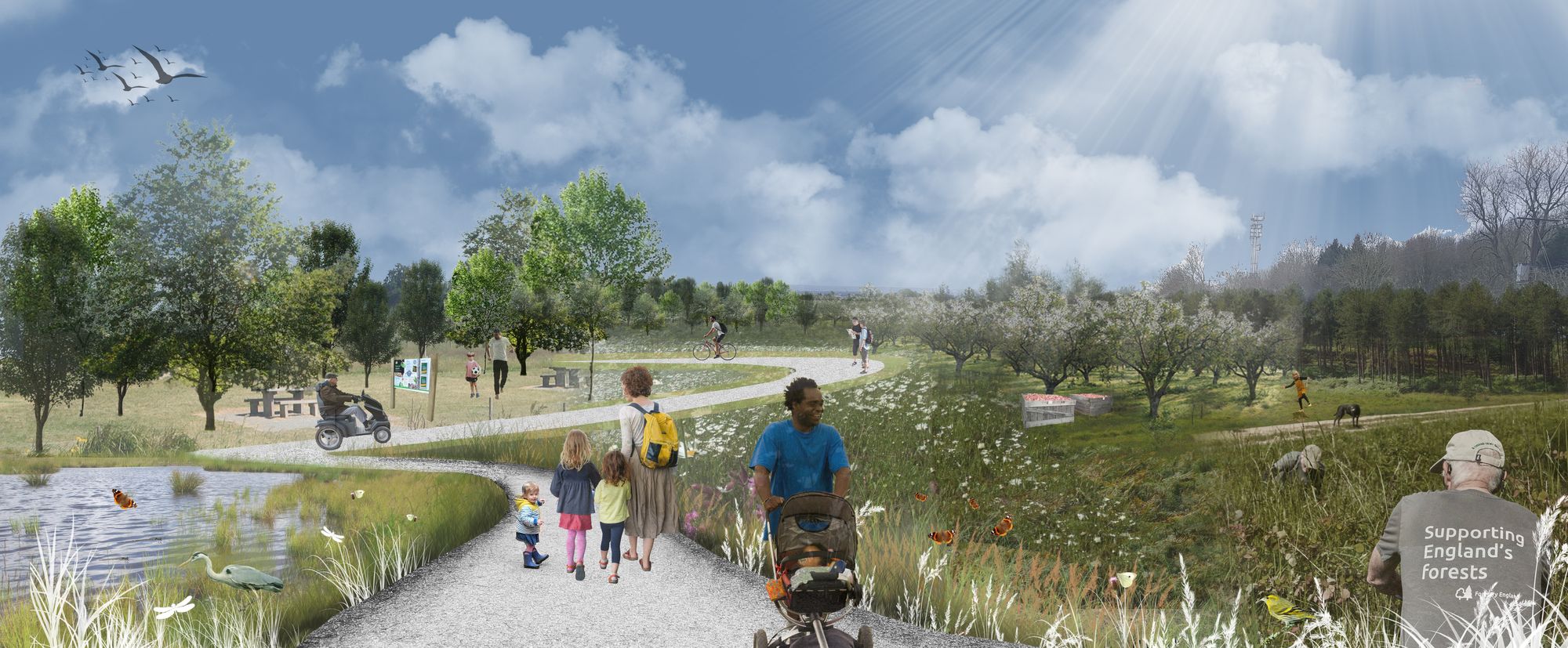 New community woodland with around 150,000 trees planned for farm near Great Warley