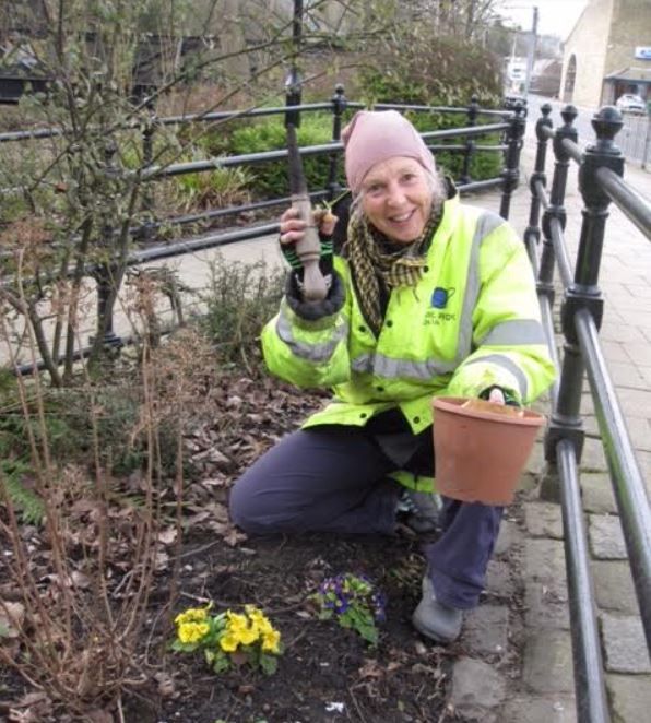Civic Pride Rossendale plant bluebells and wild garlic for start of rewilding project
