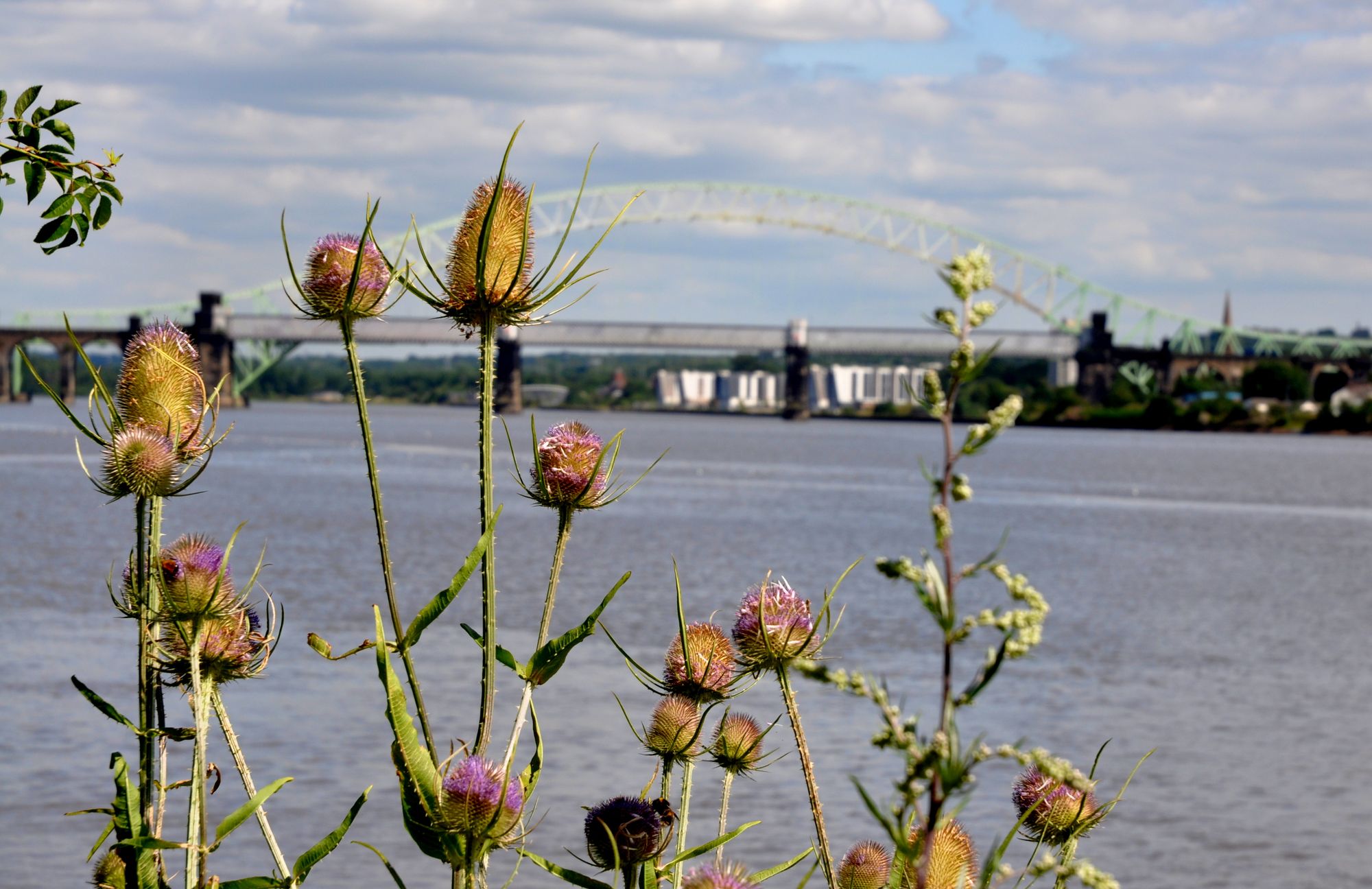 Scene By You: Pictures taken by Halton photographers