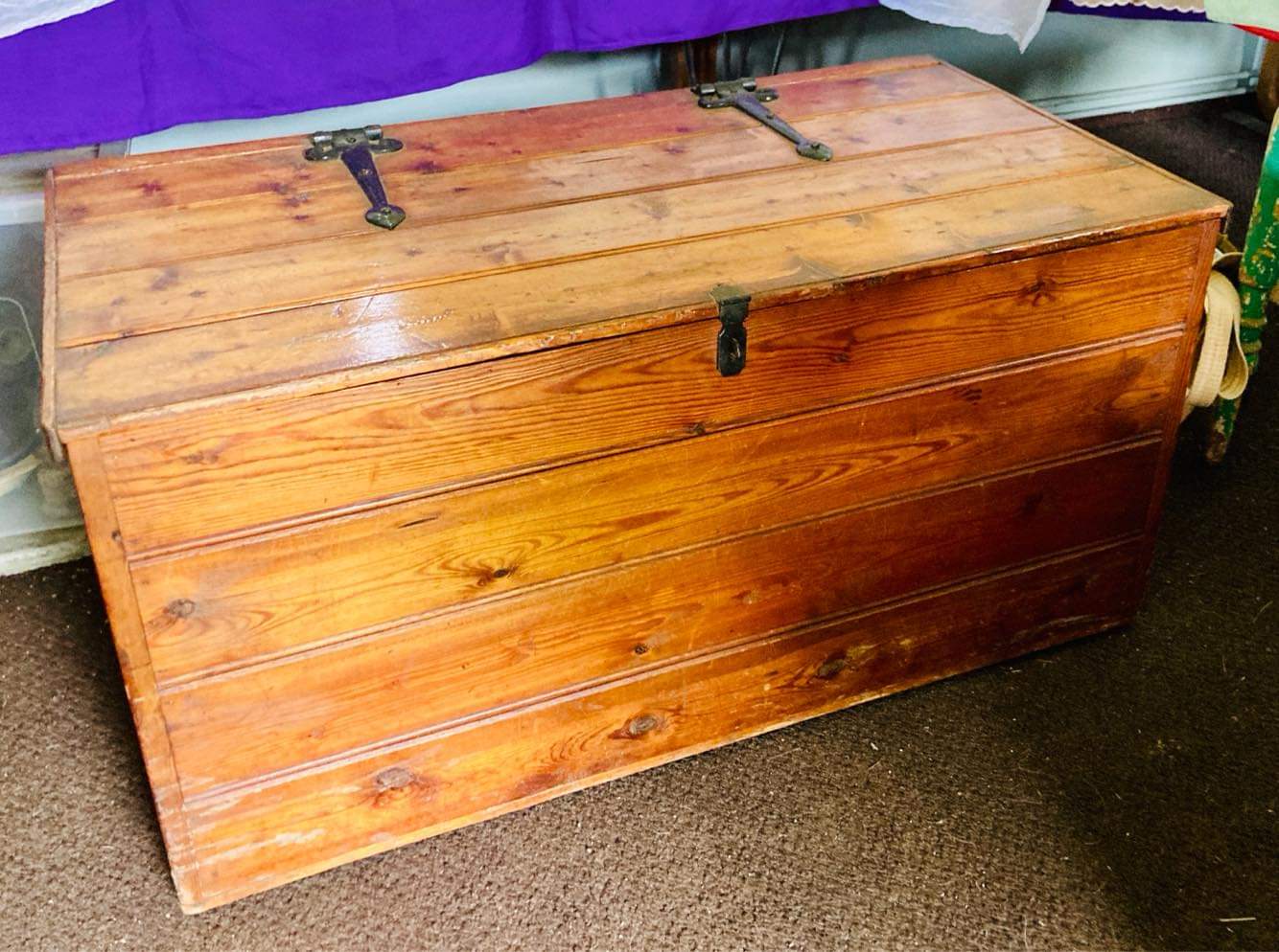 Berkhamsted animal rescue auctions off antique chest to help raise vital funds