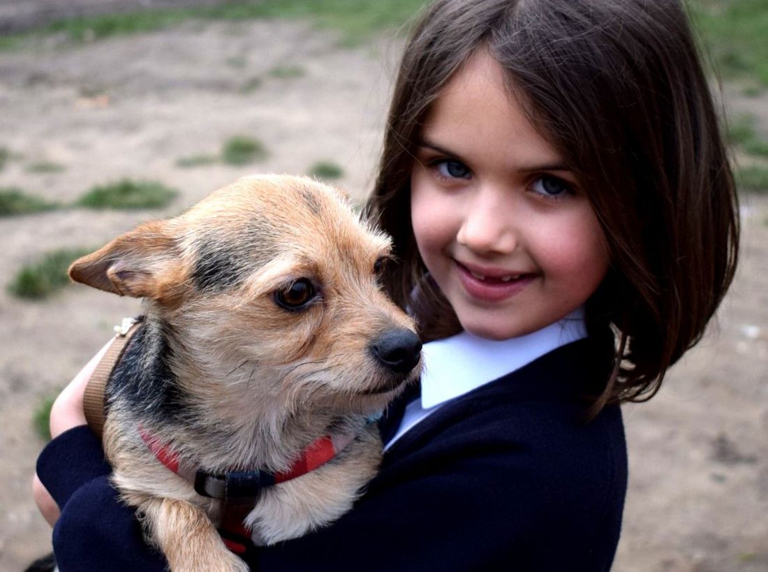 School dogs help with pupil wellbeing at three Thanet schools