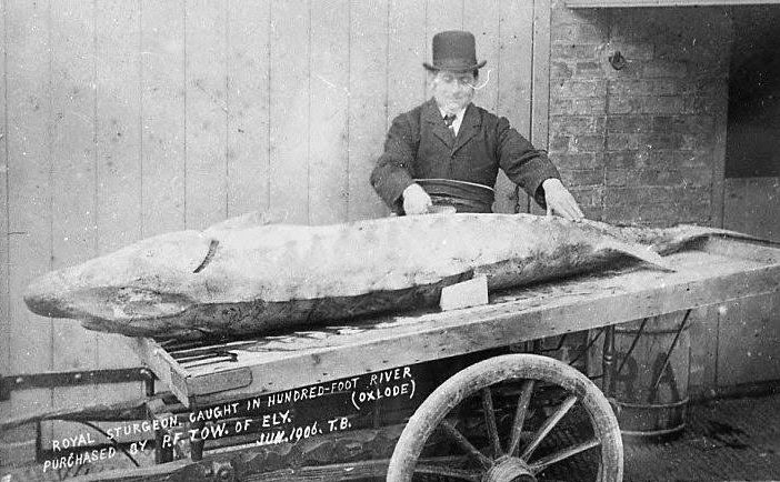 Jun 26 – On this day in Cambridgeshire history