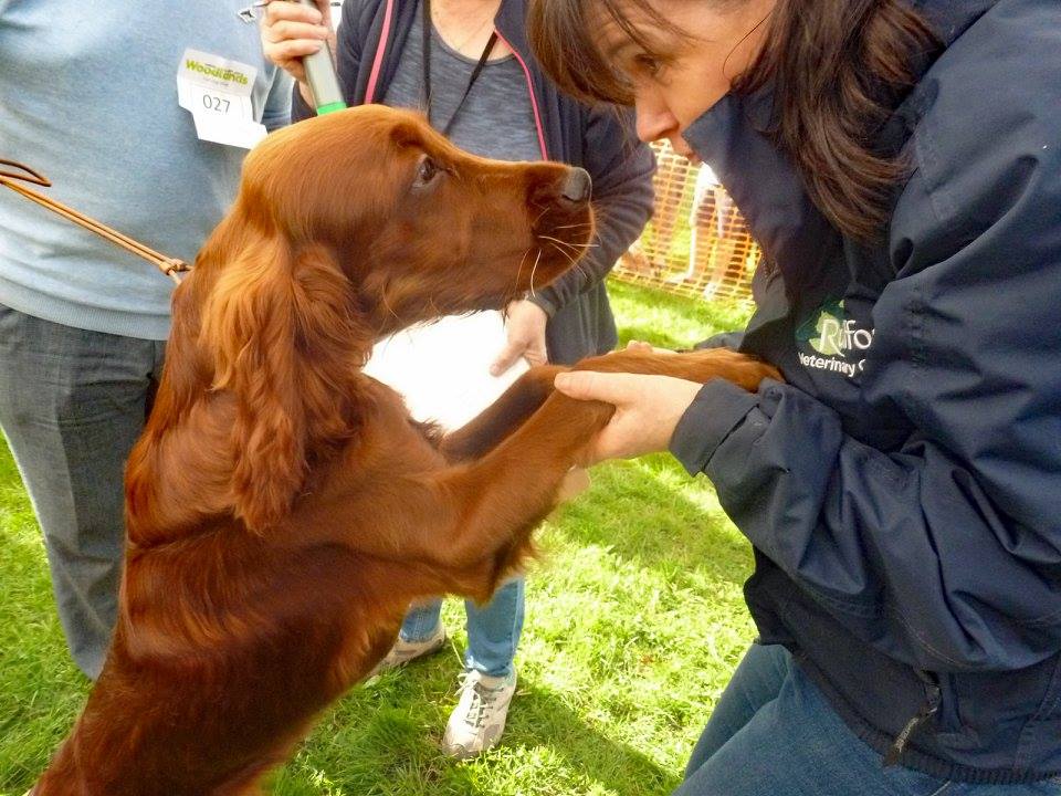 Woodlands Animal Sanctuary to hold dog show