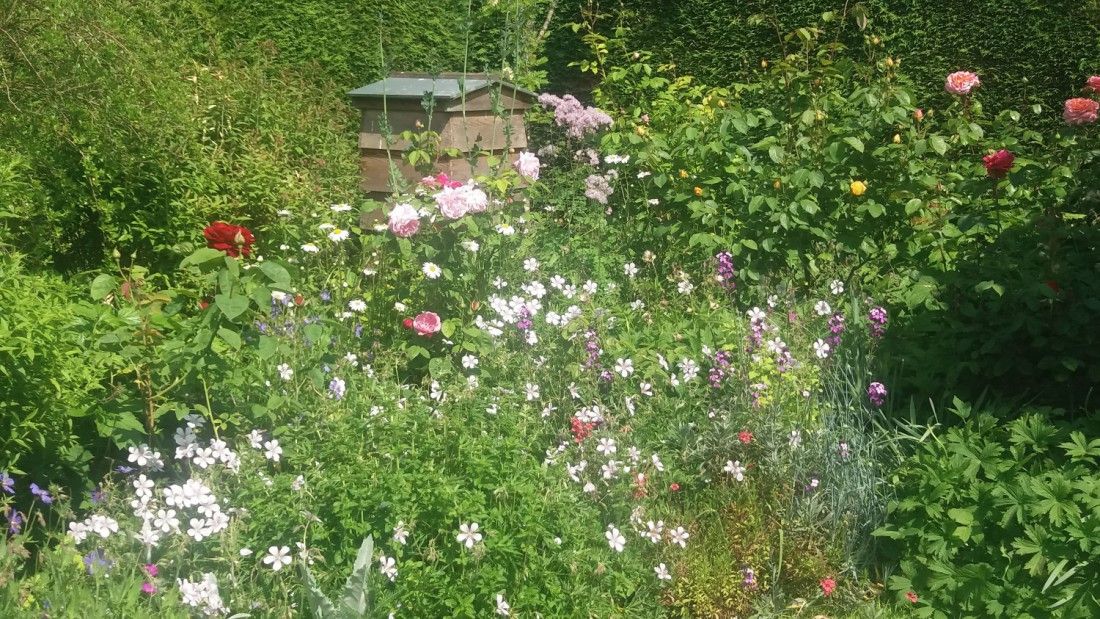 Beautiful east Kent gardens open to visitors this weekend