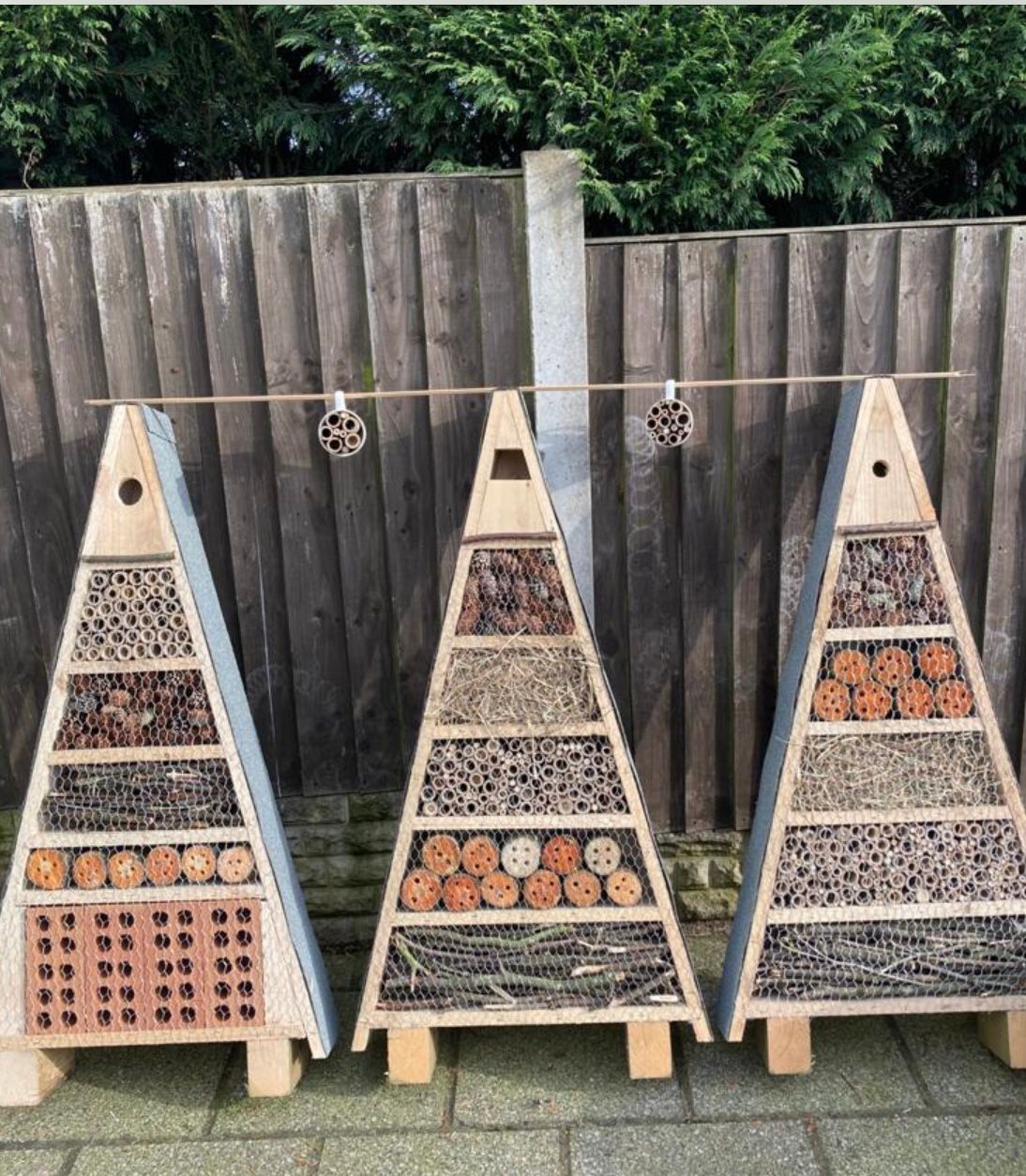 Leek to become one of the first 'bee friendly' towns in England