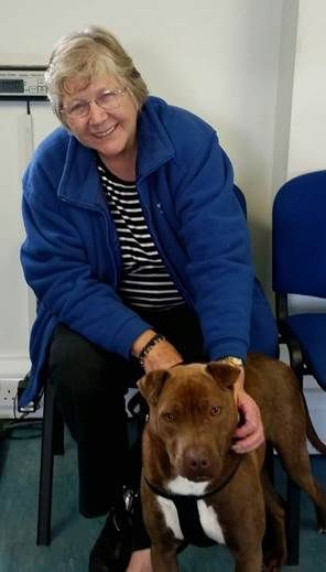 Donation to Alsager animal charity keeps fury friends on all four paws