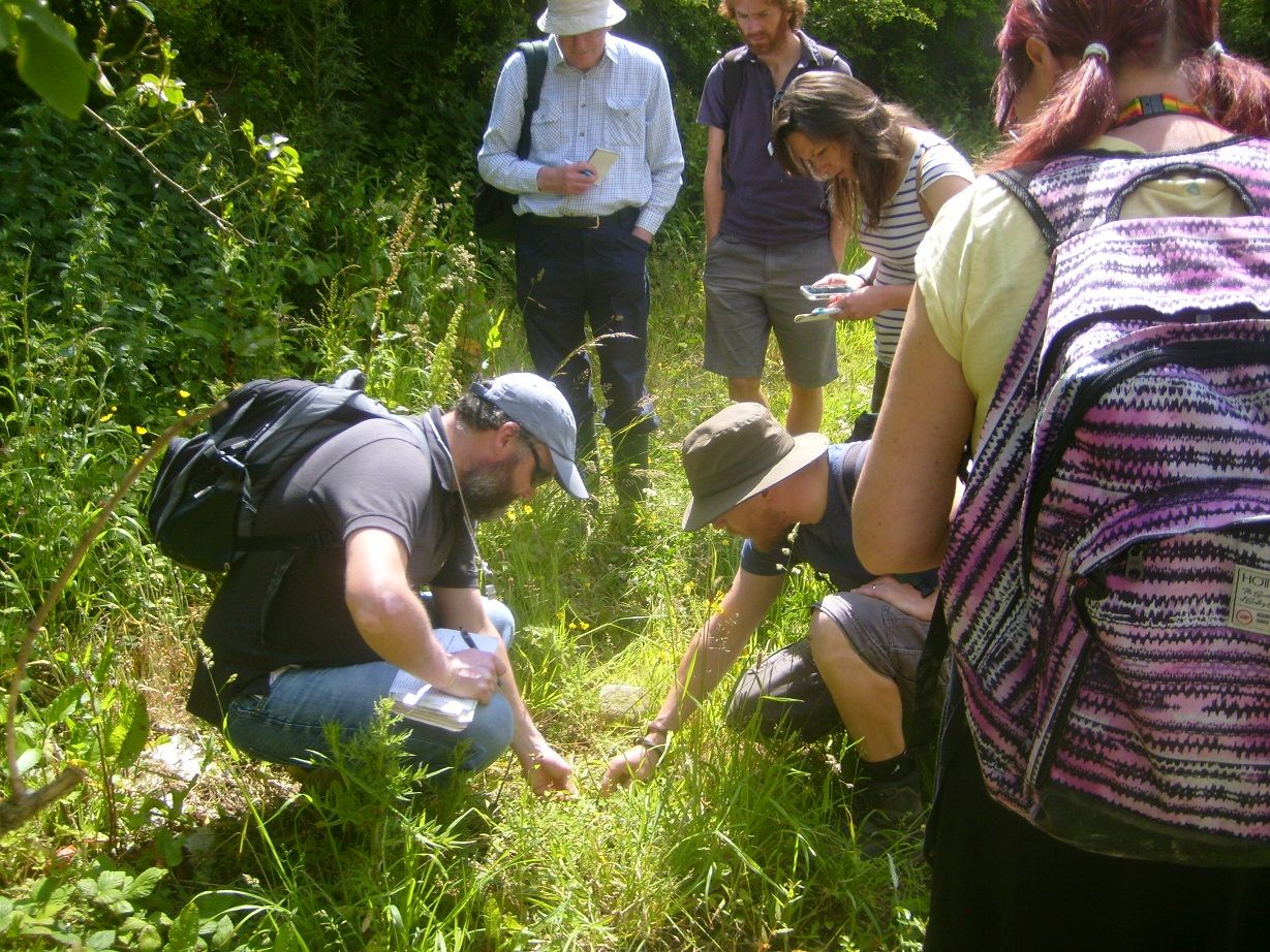 Wildlife 'bioblitz' to be held in Liskeard churchyard