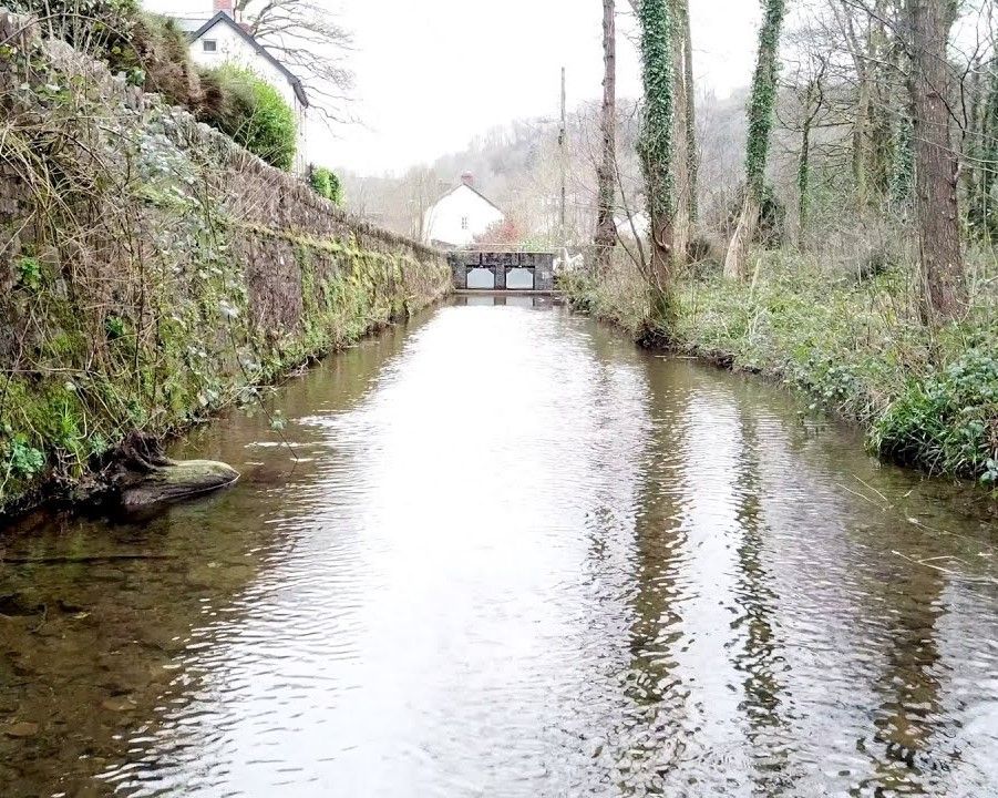 Garden party will celebrate fifth anniversary of Dulverton Weir & Leat Conservation Trust