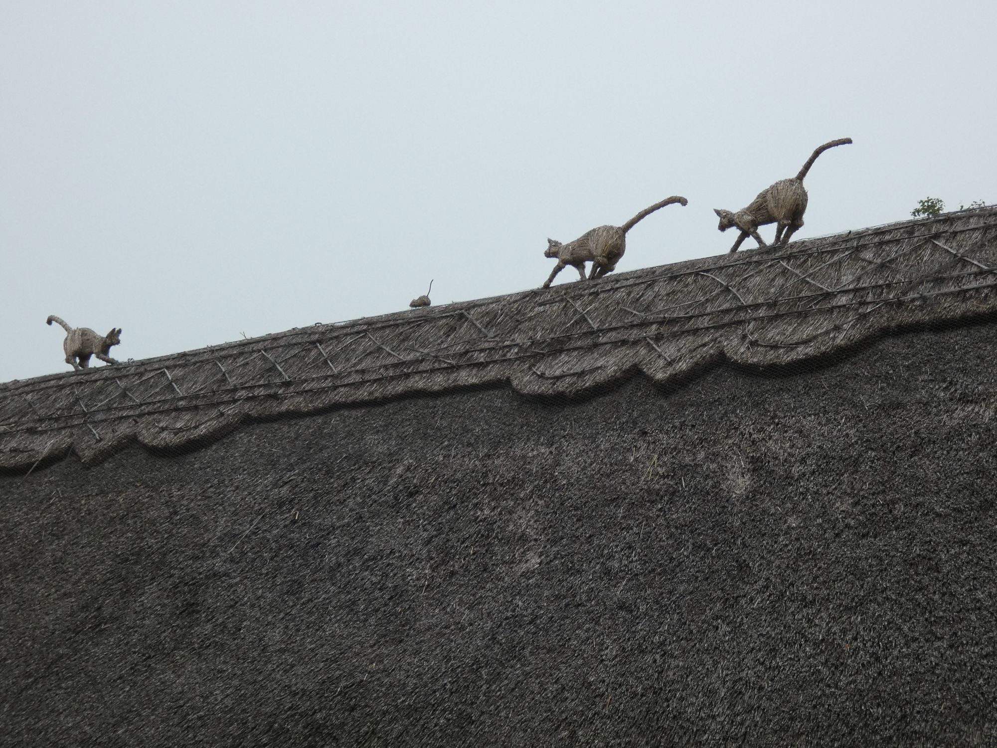 Scene By You Ormskirk - July 8: Pictures of West Lancashire captured by local photographers