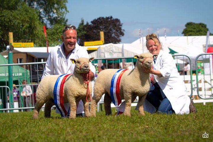 Carmarthenshire farming couple score success at Great Yorkshire Show