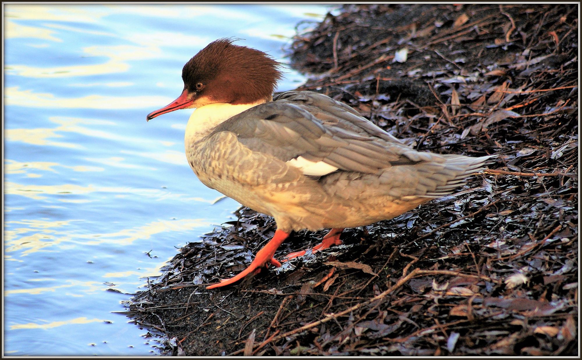 Scene By You Southport - August 12: Pictures of West Lancashire captured by local photographers