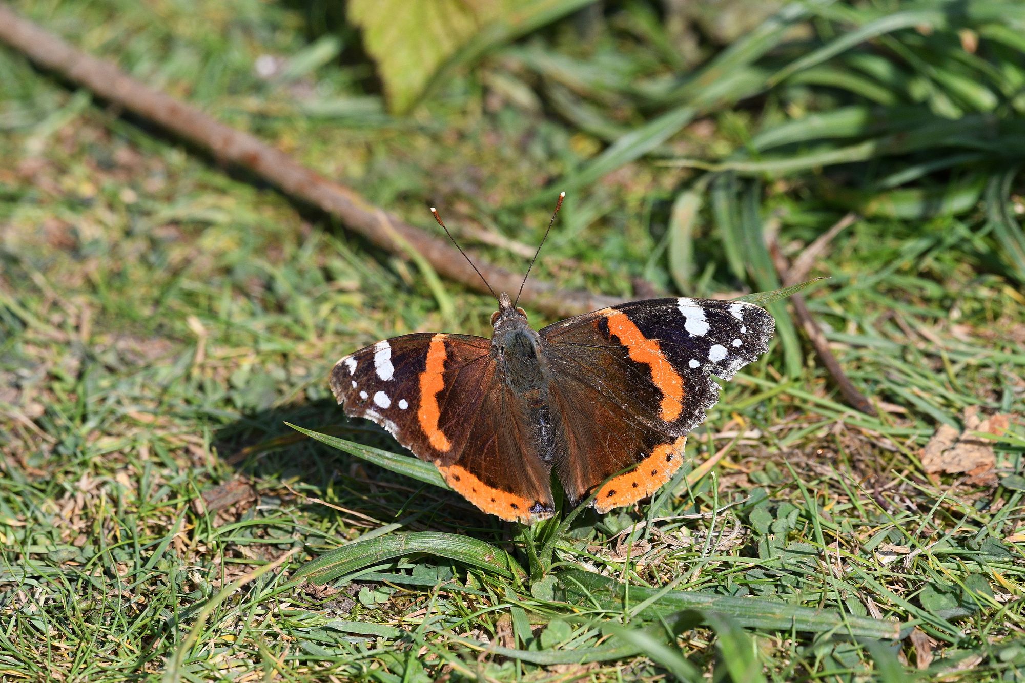 Scene By You Southport - August 5: Pictures of West Lancashire captured by local photographers