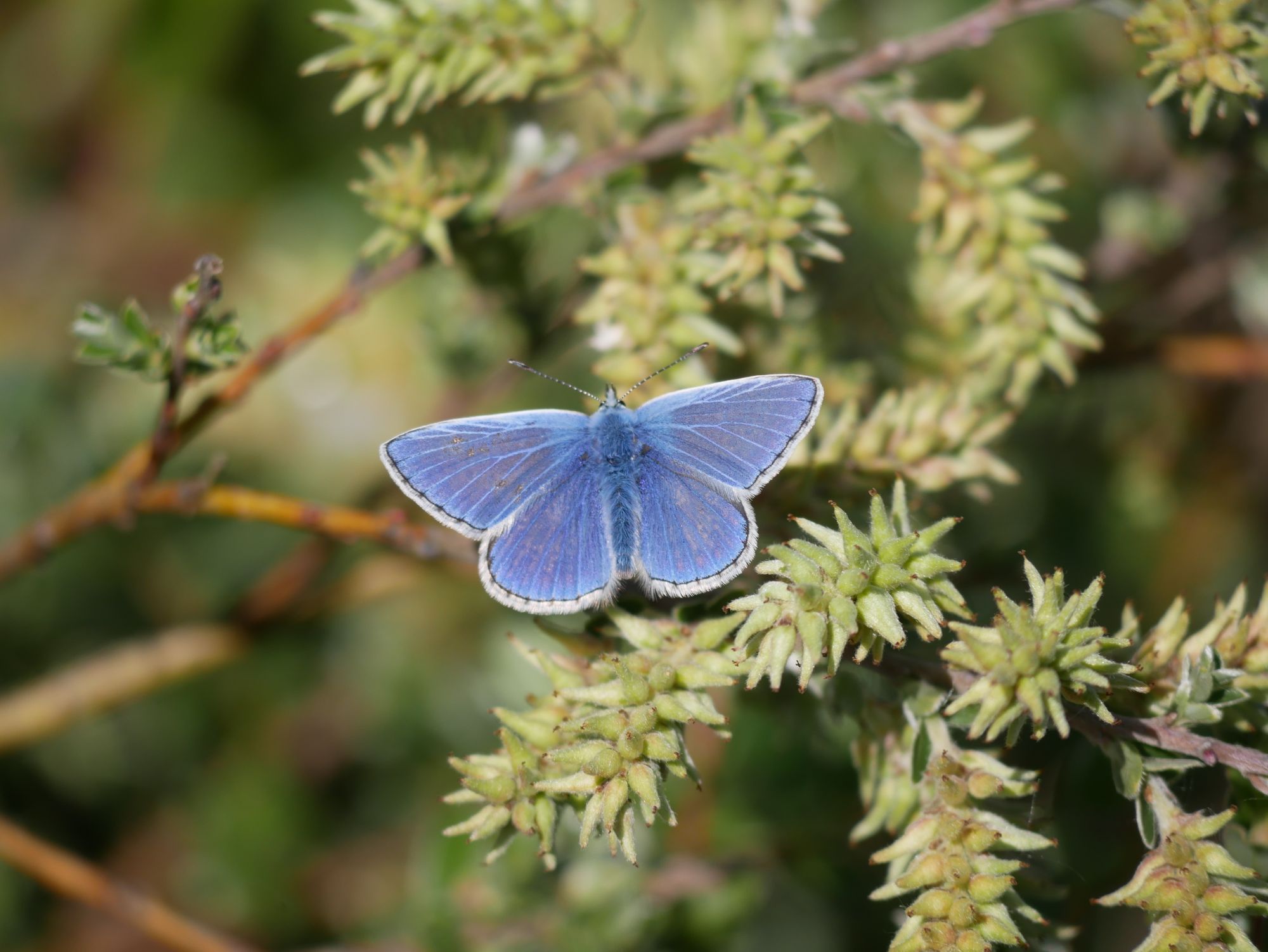 Scene By You Ormskirk - August 5: Pictures of West Lancashire captured by local photographers