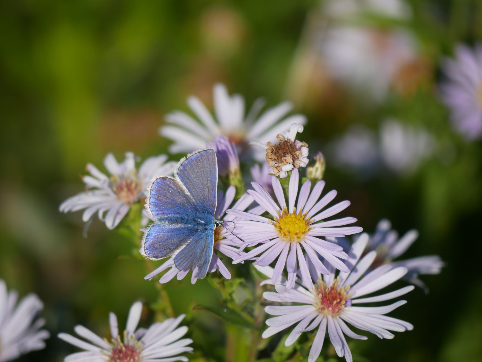 Scene By You Ormskirk - August 12: Pictures of West Lancashire captured by local photographers