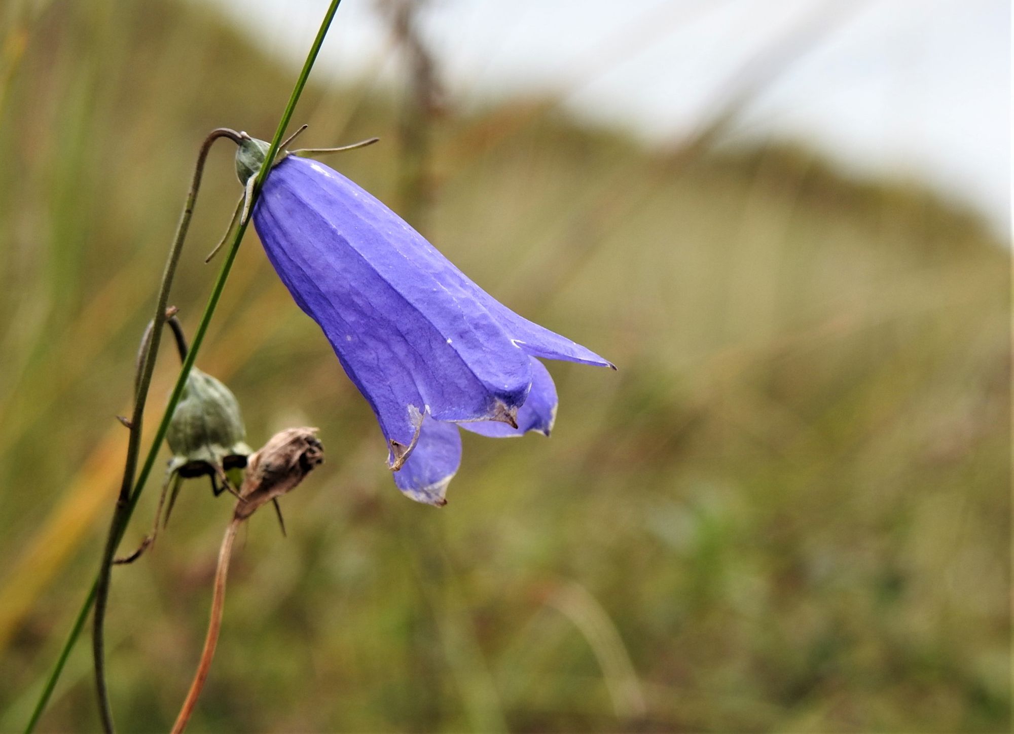 Sefton Coast column: Stop and refuel on the coastline