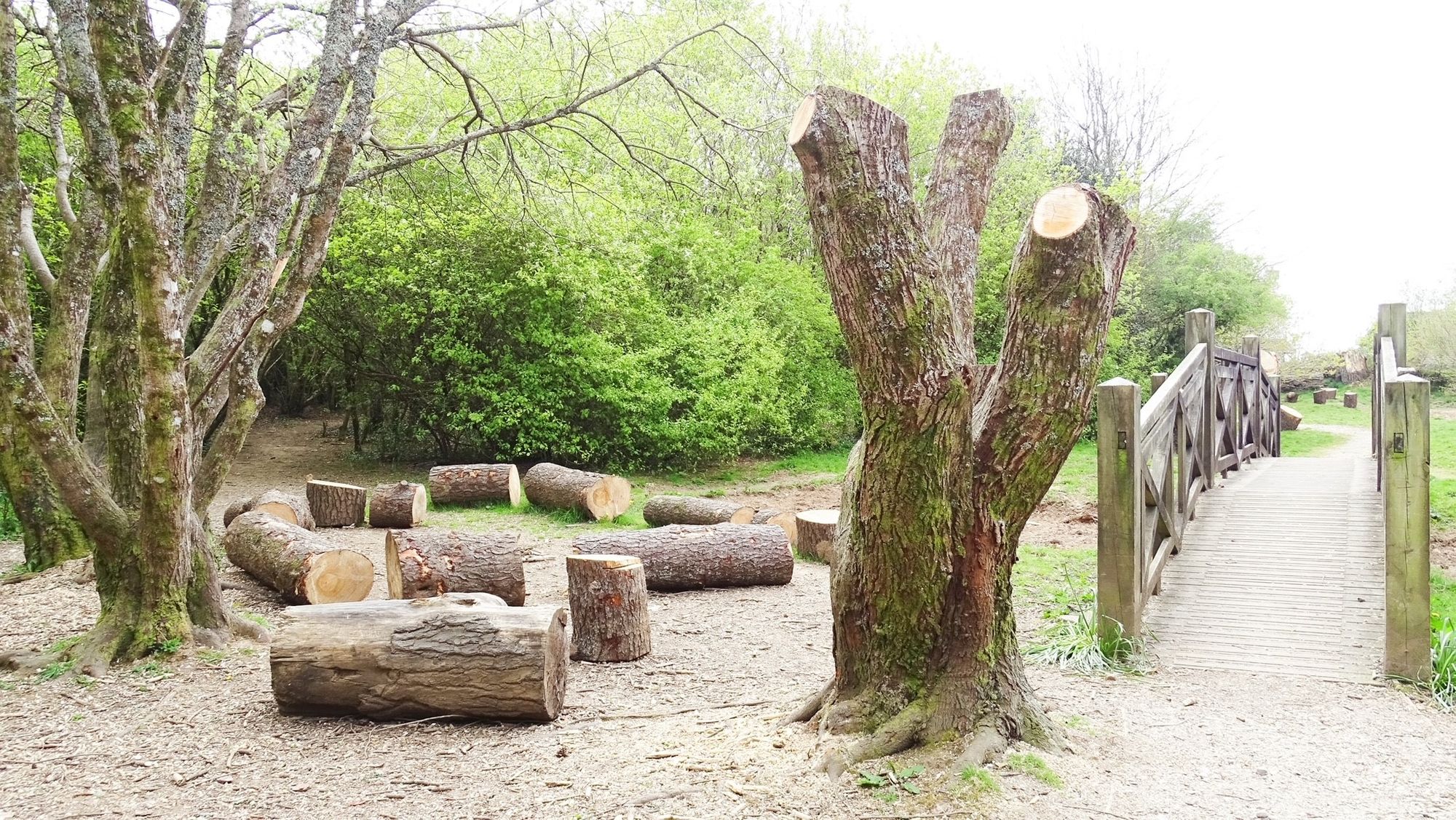 Liskeard Hillfort Primary School to enjoy new nature reserve thanks to S106 funding