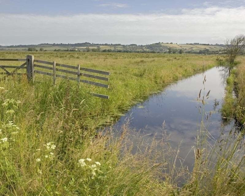 Council leaders seek Government help on phosphates