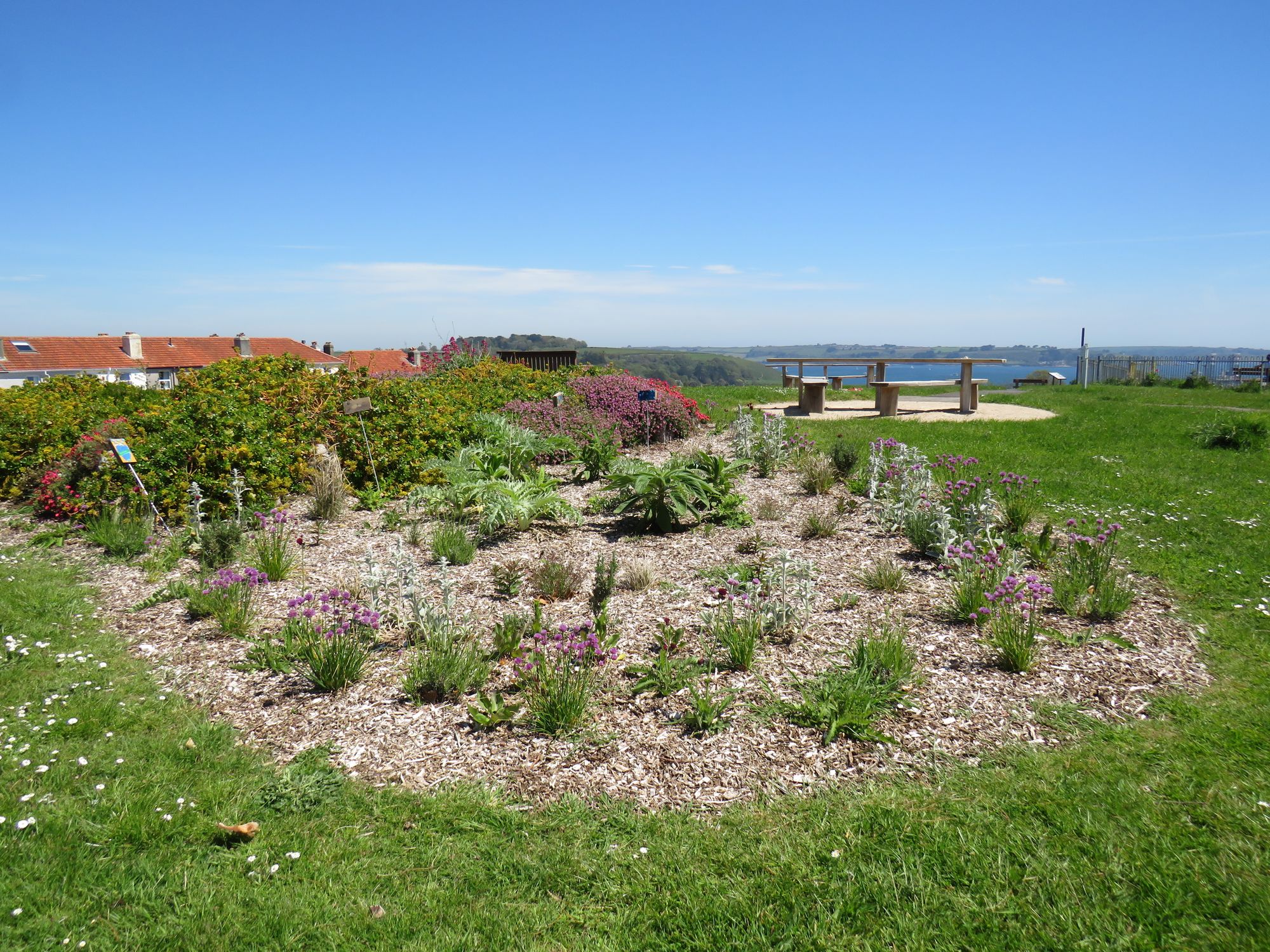 Beacon Park in Falmouth transformed into wildlife haven