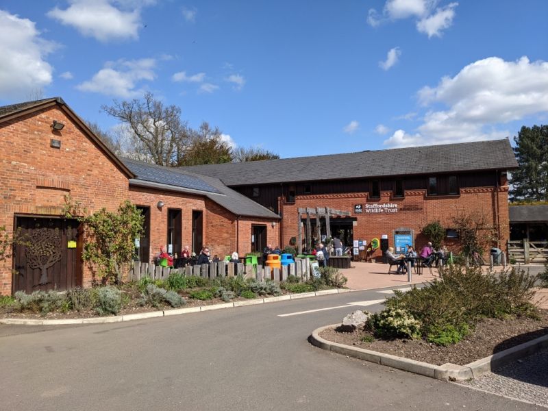 Staffordshire Wildlife Trust urging families to get into festival spirit