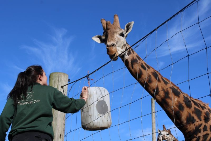 Leicester Zoo launches search for conservationists of the future
