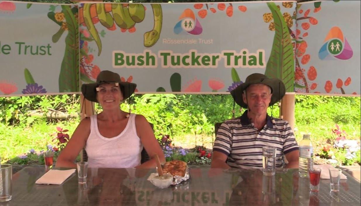 Macclesfield disability charity announces jungle-themed virtual fete